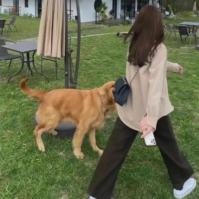 华尔街狼人